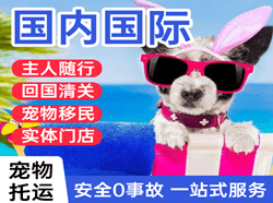 宜春明月山机场物流国际宠物托运 【国
